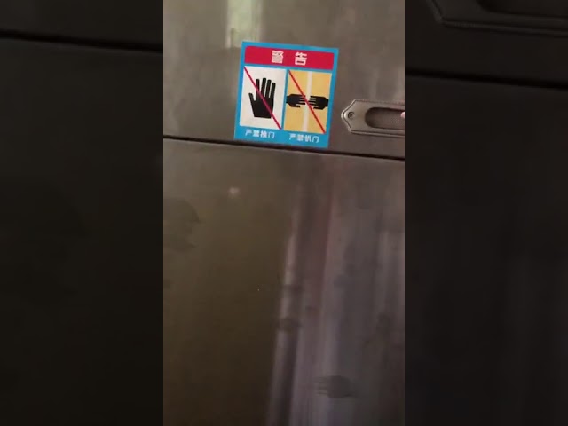 گاراژ درب گاراژ دمبل واگن آسانسور بار کوچک فضای 250kg 0.4m / S